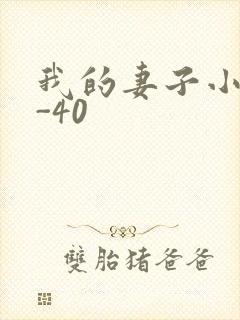 我的妻子小谨1-40