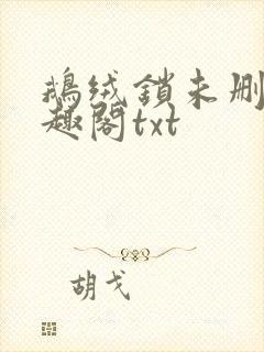 鹅绒锁未删除笔趣阁txt