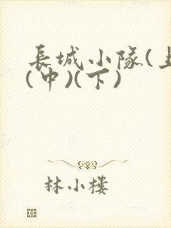 长城小队(上)(中)(下)封面