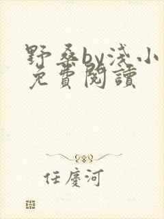 野桑by浅小说免费阅读