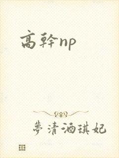 高干np