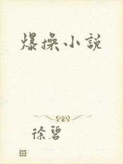 爆操小说