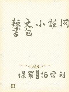 辣文小说网第二书包