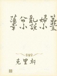 荡公乱妇第51章小说小莹