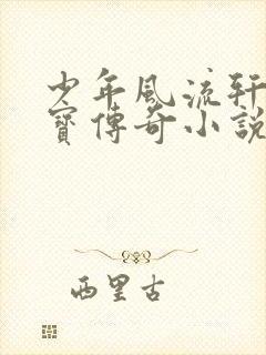 少年风流轩辕大宝传奇小说