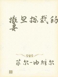 撒旦总裁的下堂妻封面