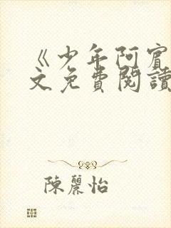 《少年阿宾》全文免费阅读