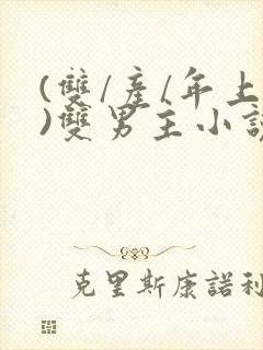 (双/产/年上)双男主小说