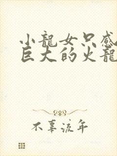 小龙女只感觉那巨大的火龙枪封面