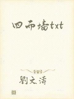 四面墙txt