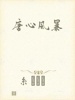 唐心风暴