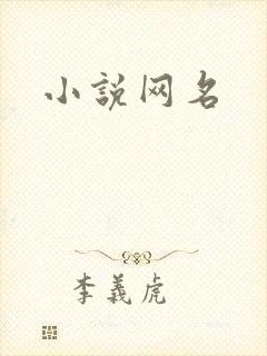 小说网名