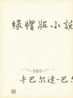 绿帽版小说