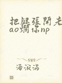 把腿张开老子cao烂你np封面
