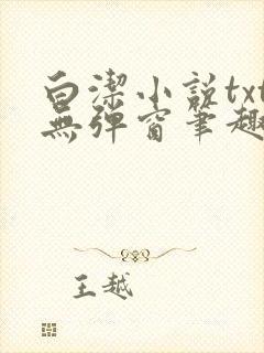 白洁小说txt无弹窗笔趣阁