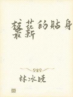 校花的贴身高手最新