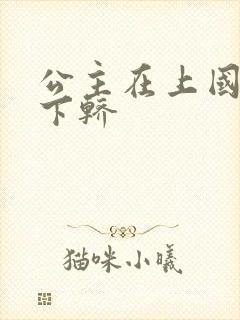 公主在上国师请下轿封面