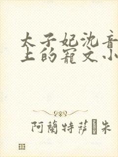 太子妃沈音和皇上的宠文小说