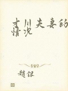 才川夫妻的恋爱情况