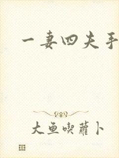 一妻四夫手记