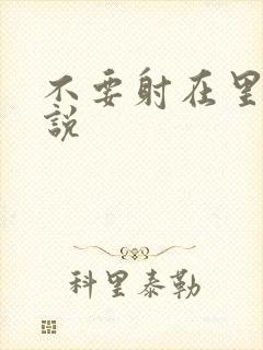 不要射在里面小说