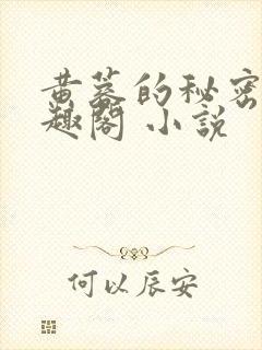 黄蓉的秘密 笔趣阁 小说封面