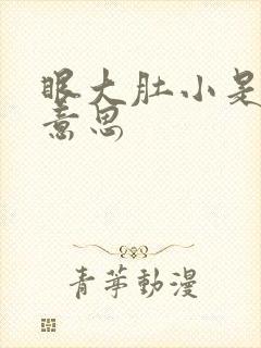 眼大肚小是什么意思封面