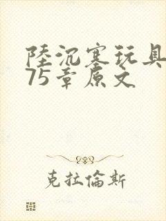 陆沉塞玩具高速75章原文