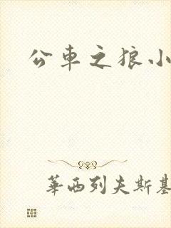 公车之狼小说