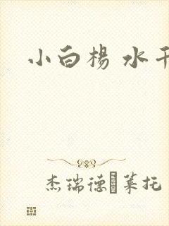 小白杨 水千丞