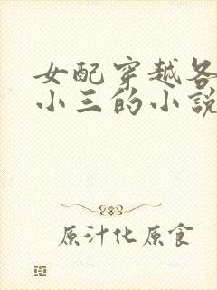 女配穿越各个做小三的小说