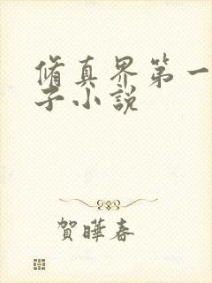 修真界第一病秧子小说封面