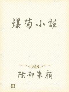 爆菊小说