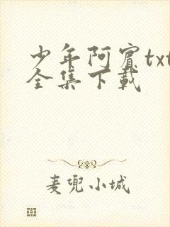 少年阿宾txt全集下载