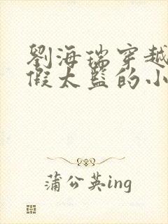 刘海瑞穿越后宫假太监的小说