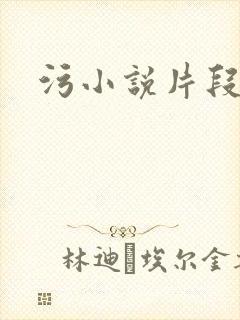 污小说片段封面