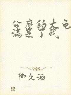 公么的大龟强大满足了我