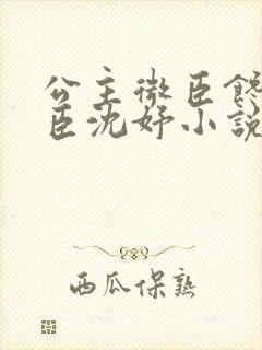 公主微臣馋了微臣沈妤小说