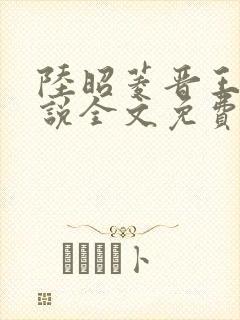 陆昭菱晋王的小说全文免费阅读