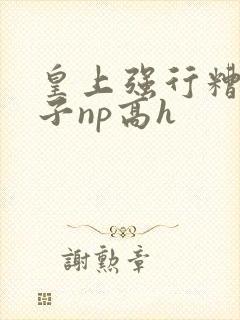 皇上强行糟蹋太子np高h封面