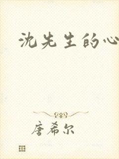 沈先生的心头宝