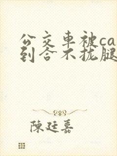 公交车被cao到合不拢腿视频