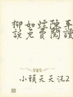 柳如烟陈平安小说免费阅读全文封面