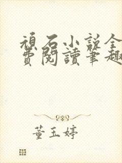 顽石小说全文免费阅读笔趣阁封面