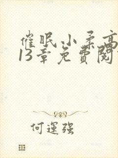 催眠小柔高达第13章免费阅读