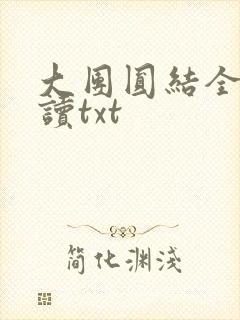 大团圆结全文阅读txt