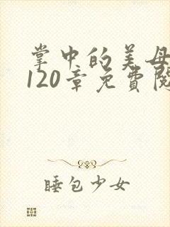 掌中的美母版主120章免费阅读