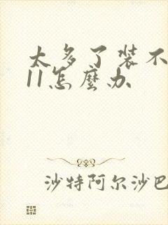 太多了装不下h11怎么办封面