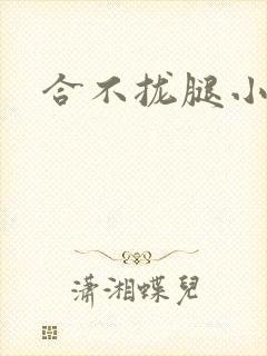 合不拢腿小说