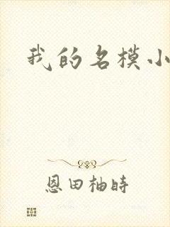 我的名模小娇妻